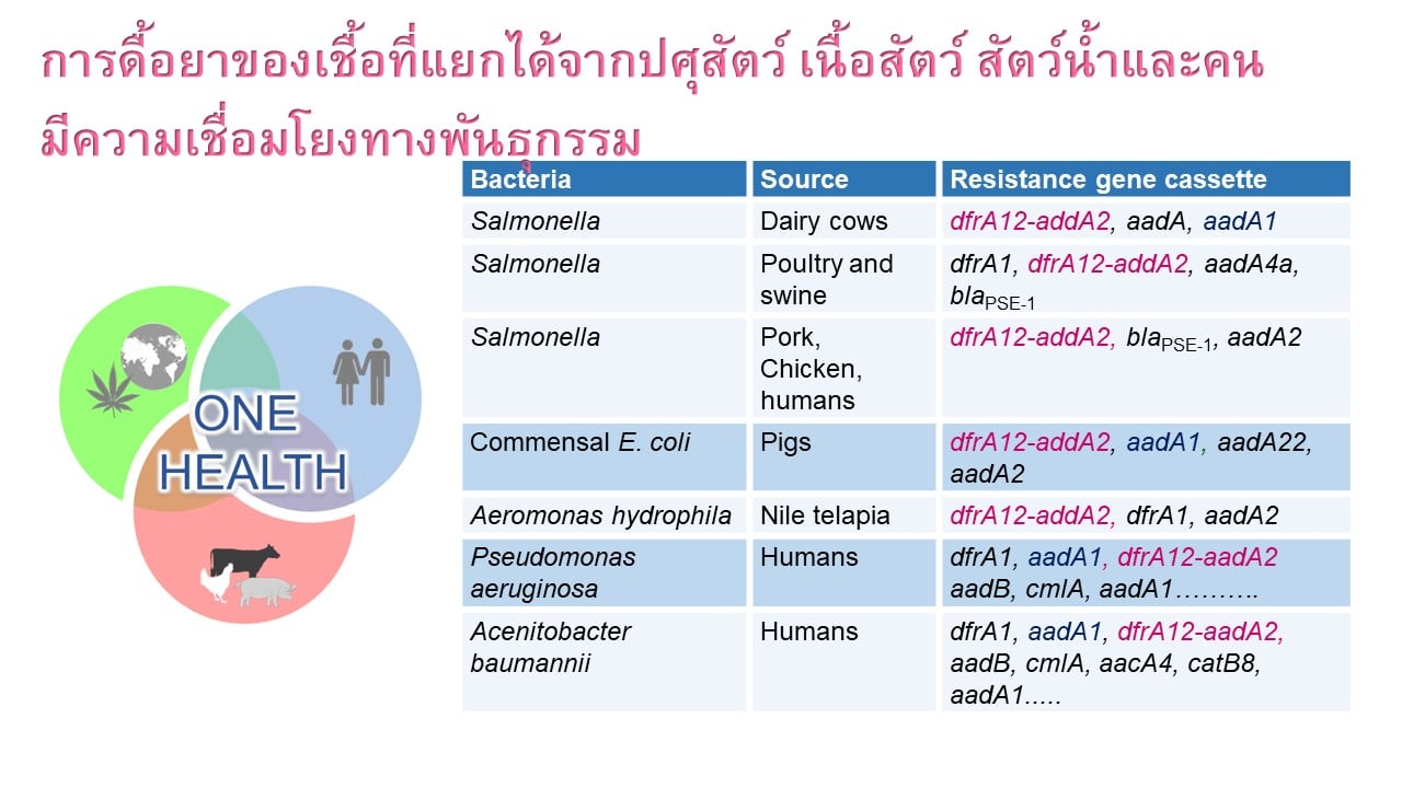 Researcher-cu-5