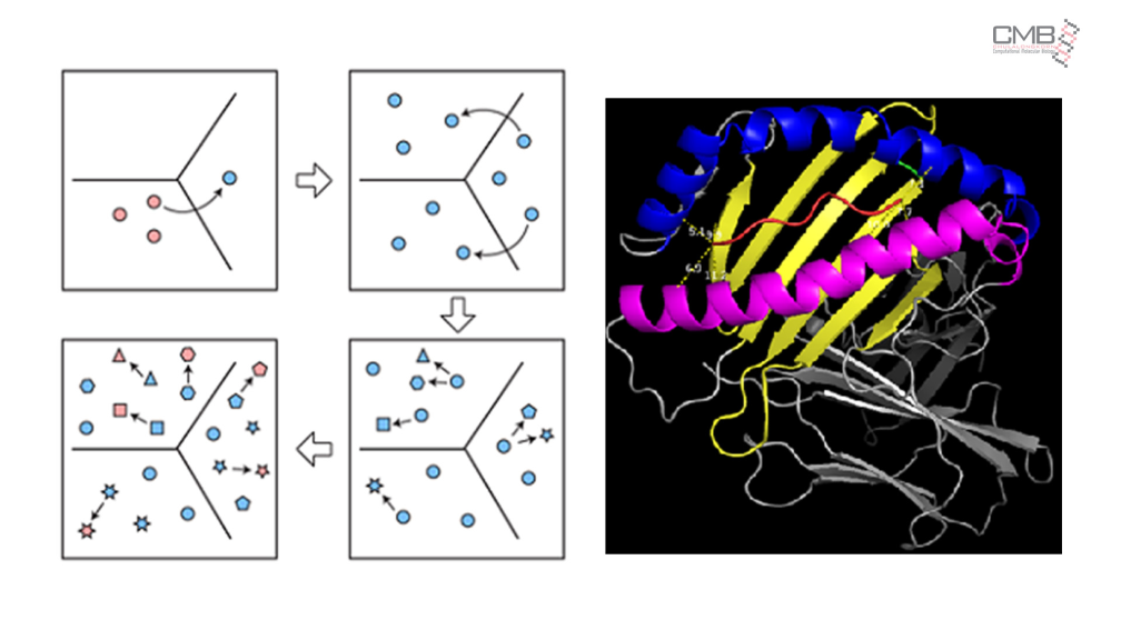 Center of Excellence in Computational Molecular Biology
