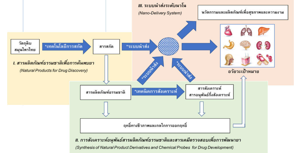 CE_NP2 _Supakarn Chamni 2