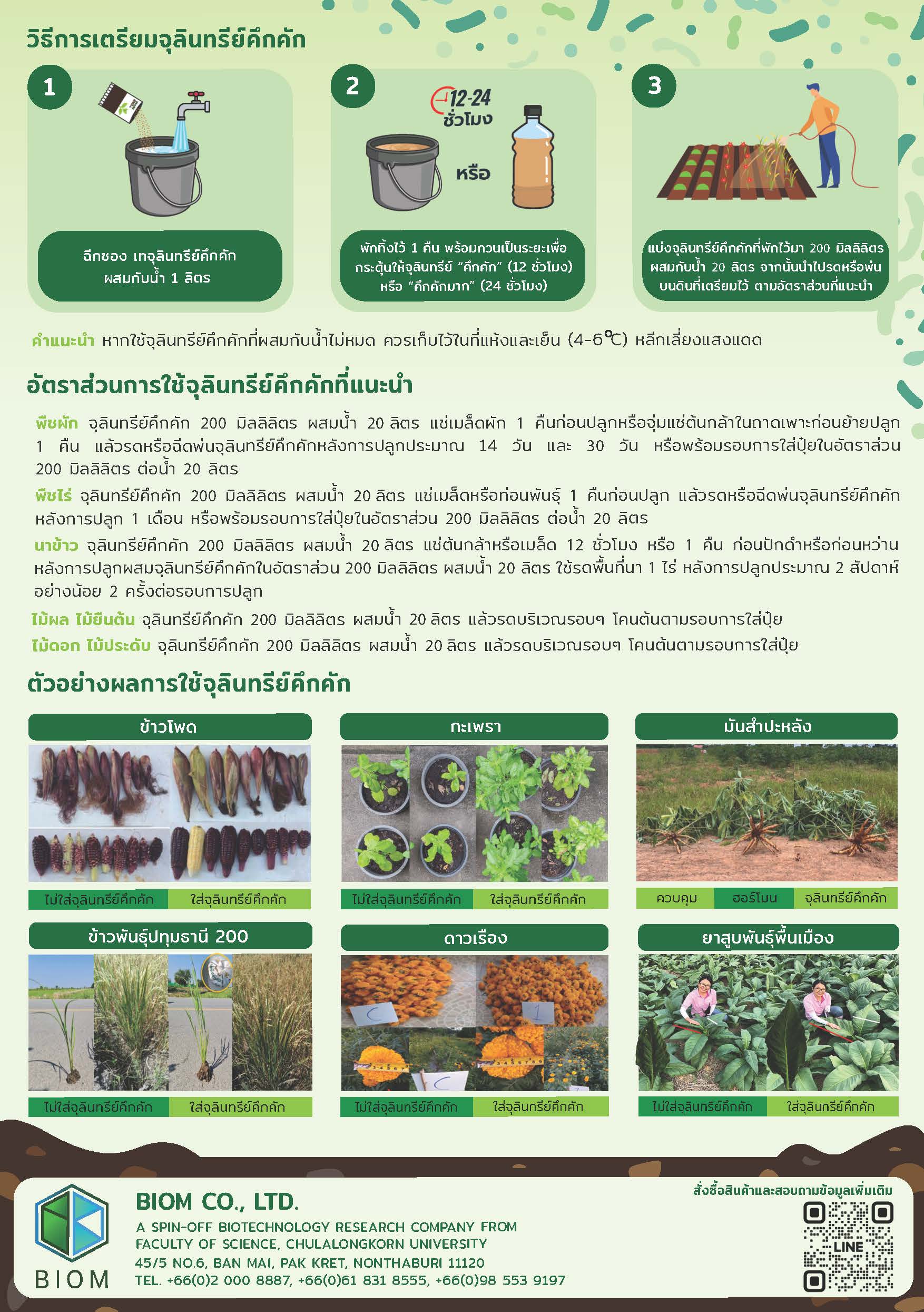ALIZ Brochure _Page_2
