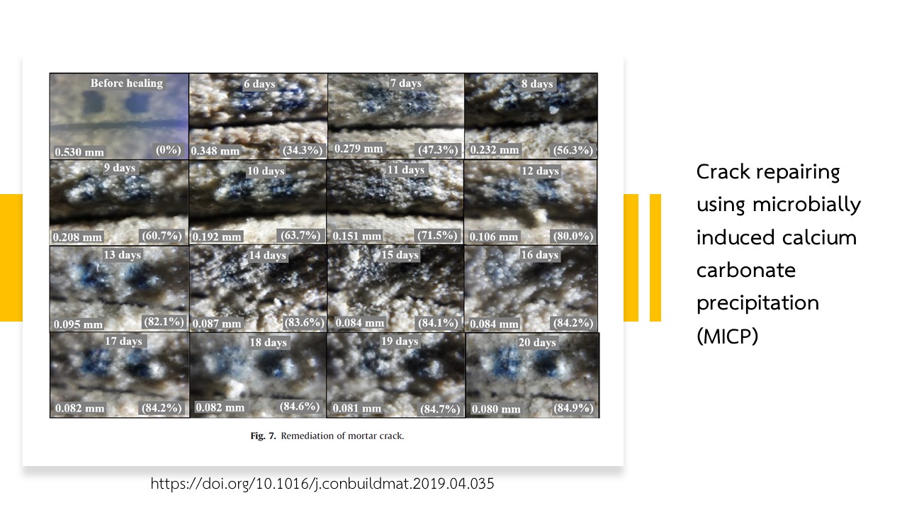 Slide2