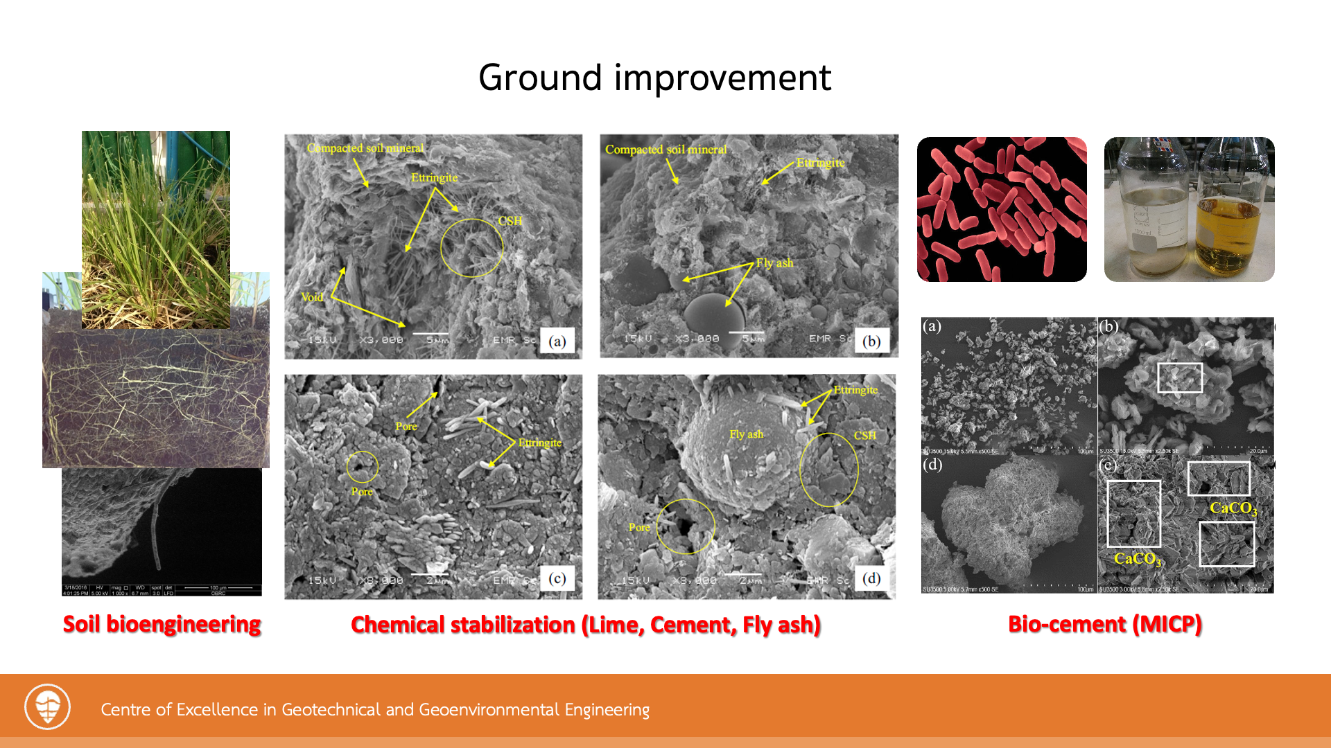 Slide3