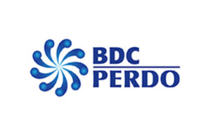 9.BDC PERDO