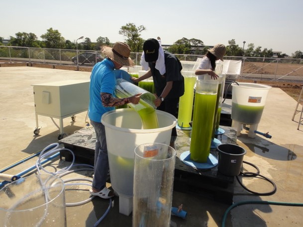 Center of Excellence for Marine Biotechnology