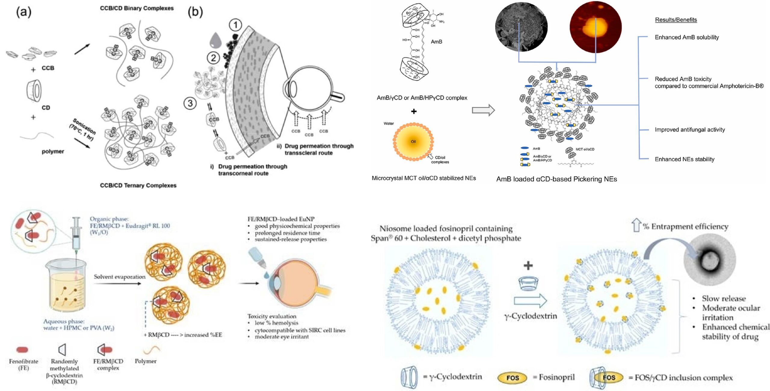 Cyclodextrin Application and Nanotechnology-based Delivery Systems Research Unit